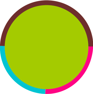 Primary Raster logo